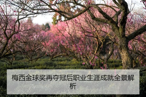 梅西金球奖再夺冠后职业生涯成就全景解析